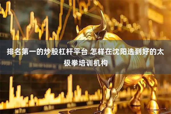 排名第一的炒股杠杆平台 怎样在沈阳选到好的太极拳培训机构