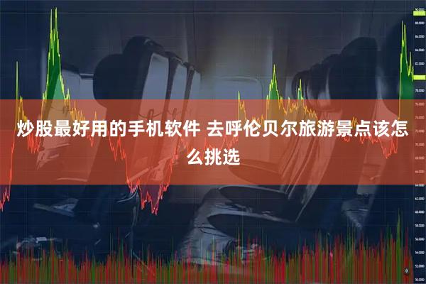 炒股最好用的手机软件 去呼伦贝尔旅游景点该怎么挑选