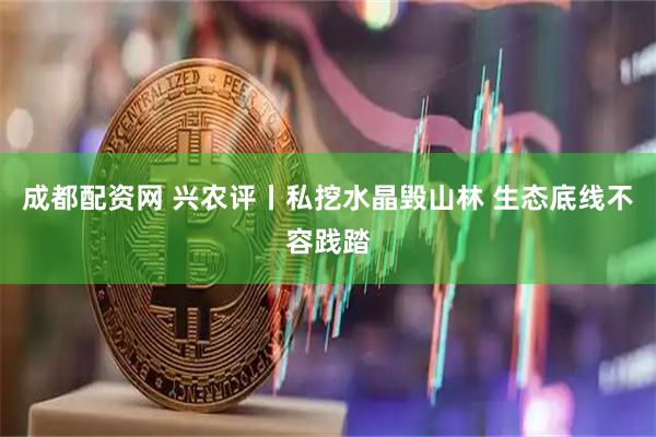 成都配资网 兴农评丨私挖水晶毁山林 生态底线不容践踏