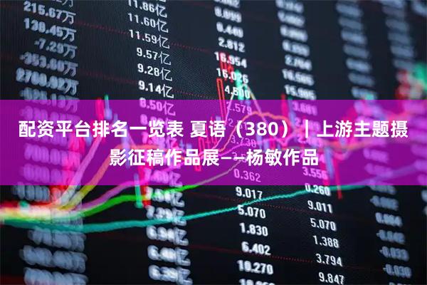配资平台排名一览表 夏语（380）｜上游主题摄影征稿作品展——杨敏作品