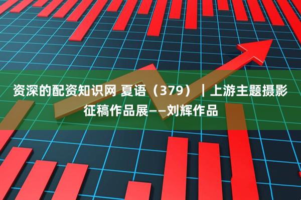 资深的配资知识网 夏语（379）｜上游主题摄影征稿作品展——刘辉作品